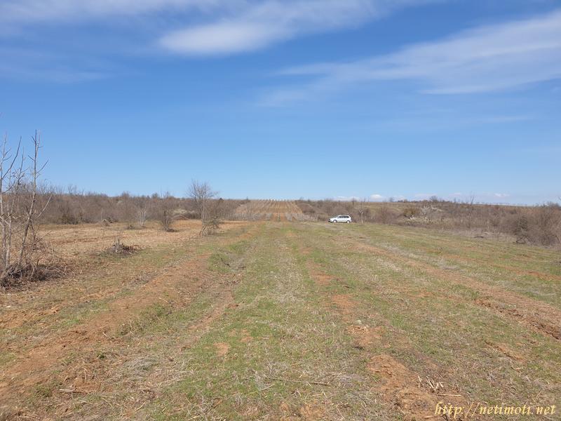 Оферта за недвижим имот с номер 20000: земеделска земя в Шумен област - с.Драгоево в категория продава - 4776 м2 на цена 639 EUR - снимка номер 2 Снимка 2 на земеделска земя в Шумен област - с.Драгоево в категория недвижими имоти продава - 4776 м2 на цена 639 EUR