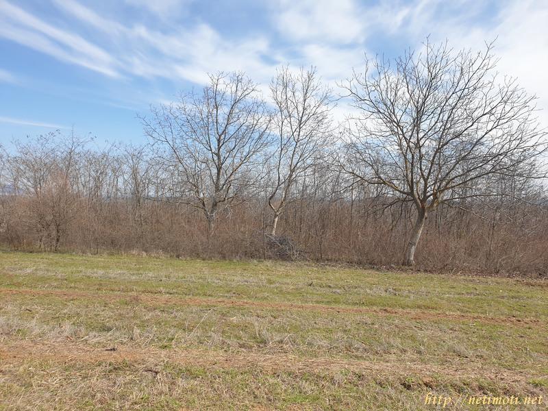 Оферта за недвижим имот с номер 20000: земеделска земя в Шумен област - с.Драгоево в категория продава - 4776 м2 на цена 639 EUR - снимка номер 3 Снимка 3 на земеделска земя в Шумен област - с.Драгоево в категория недвижими имоти продава - 4776 м2 на цена 639 EUR