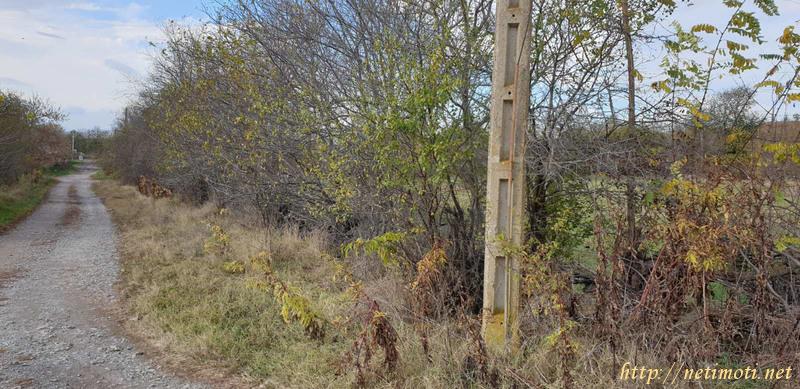 Снимка 5 на къща в Шумен област - с.Конево в категория недвижими имоти продава - 60 м2 на цена  12271 EUR 