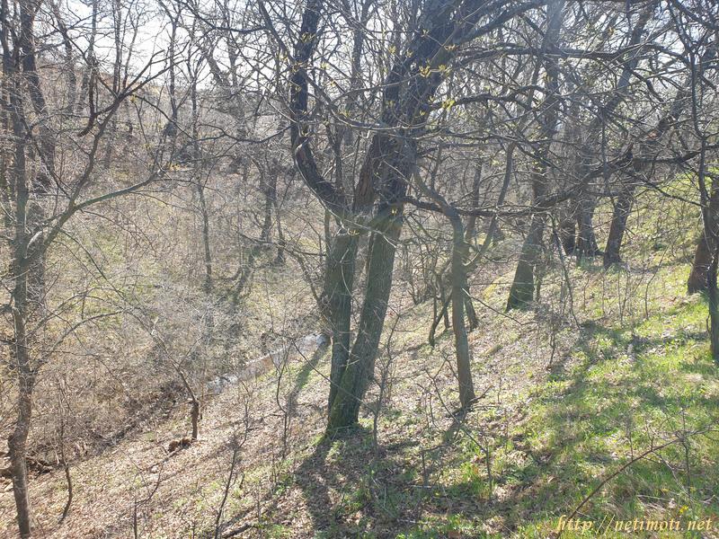 Оферта за недвижим имот с номер 20353: земеделска земя в Бургас област - гр.Сунгурларе в категория продава - 6857 м2 на цена 5259 EUR - снимка номер 6 Снимка 6 на земеделска земя в Бургас област - гр.Сунгурларе в категория недвижими имоти продава - 6857 м2 на цена 5259 EUR