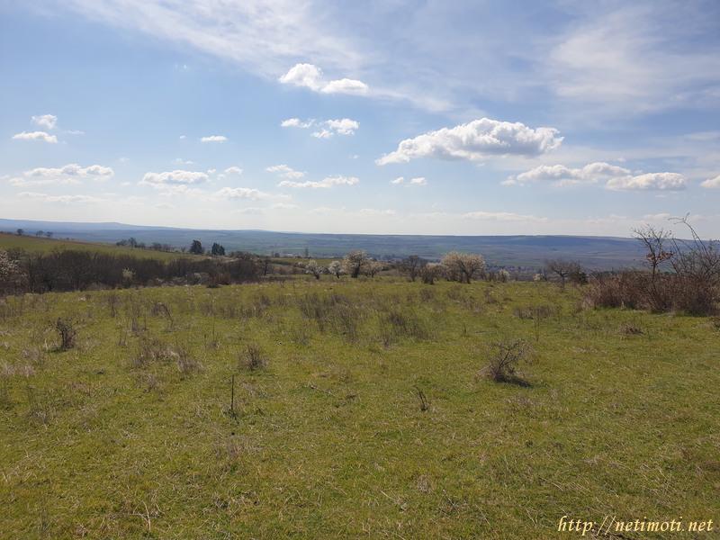 Оферта за недвижим имот с номер 20353: земеделска земя в Бургас област - гр.Сунгурларе в категория продава - 6857 м2 на цена 5259 EUR - снимка номер 7 Снимка 7 на земеделска земя в Бургас област - гр.Сунгурларе в категория недвижими имоти продава - 6857 м2 на цена 5259 EUR