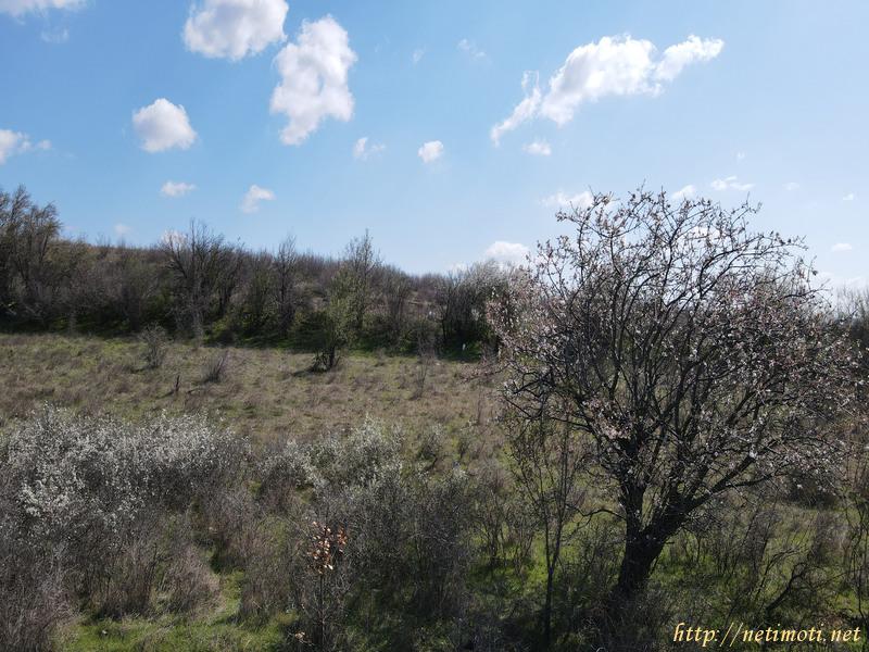 Оферта за недвижим имот с номер 20357: земеделска земя в Бургас област - гр.Сунгурларе в категория продава - 7688 м2 на цена 5896 EUR - снимка номер 6 Снимка 6 на земеделска земя в Бургас област - гр.Сунгурларе в категория недвижими имоти продава - 7688 м2 на цена 5896 EUR