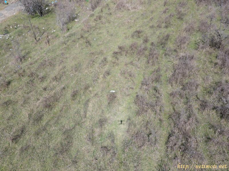 Оферта за недвижим имот с номер 20357: земеделска земя в Бургас област - гр.Сунгурларе в категория продава - 7688 м2 на цена 5896 EUR - снимка номер 7 Снимка 7 на земеделска земя в Бургас област - гр.Сунгурларе в категория недвижими имоти продава - 7688 м2 на цена 5896 EUR