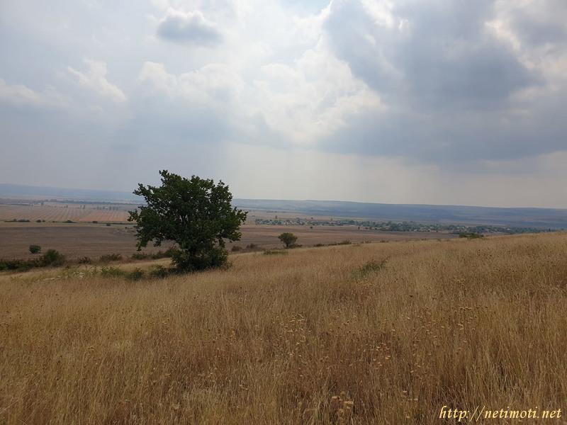Снимка 1 на земеделска земя в Бургас област - с.Вълчин в категория недвижими имоти продава - 30000 м2 на цена  23008 EUR 