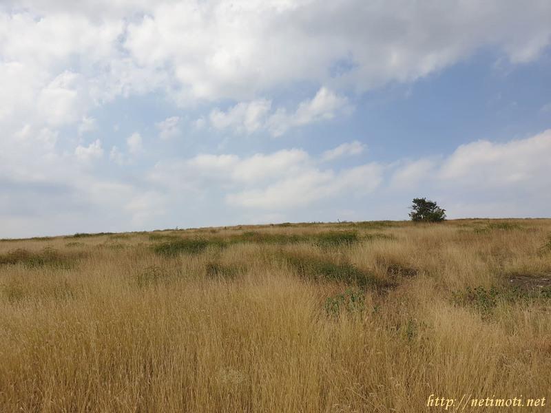 Снимка 2 на земеделска земя в Бургас област - с.Вълчин в категория недвижими имоти продава - 30000 м2 на цена  23008 EUR 