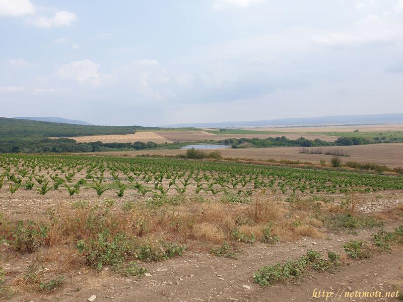Снимка 4 на земеделска земя в Бургас област - с.Вълчин в категория недвижими имоти продава - 30000 м2 на цена  23008 EUR 