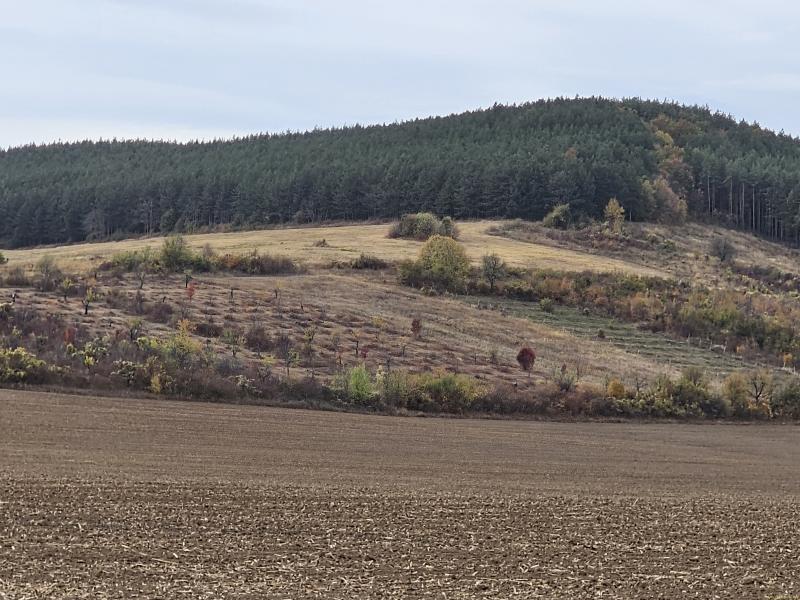 Оферта за недвижим имот с номер 20693: земеделска земя в Шумен - Бул.Велики Преслав в категория продава - 33 м2 на цена 38807 EUR - снимка номер 1 Снимка 1 на земеделска земя в Шумен - Бул.Велики Преслав в категория недвижими имоти продава - 33 м2 на цена 38807 EUR