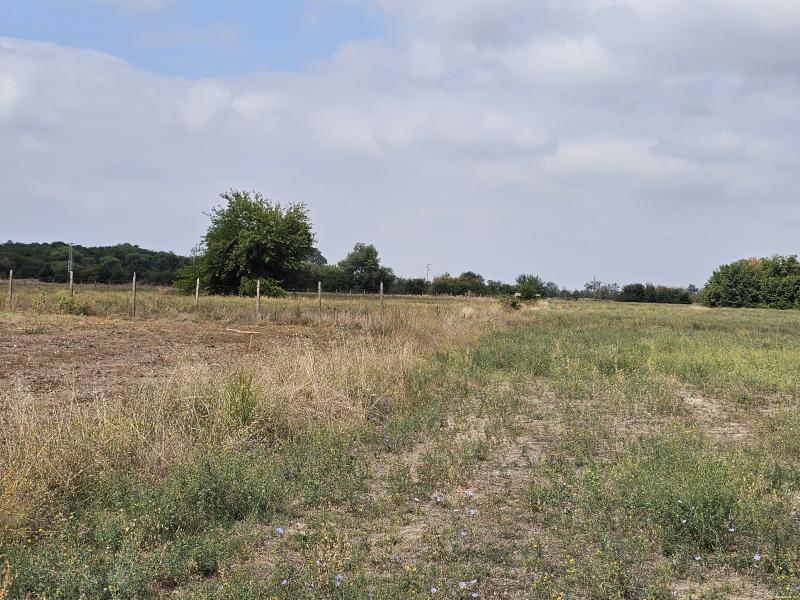 Оферта за недвижим имот с номер 21148: земеделска земя в Пловдив област - с.Калековец в категория продава - 7133 м2 на цена 21399 EUR - снимка номер 2 Снимка 2 на земеделска земя в Пловдив област - с.Калековец в категория недвижими имоти продава - 7133 м2 на цена 21399 EUR