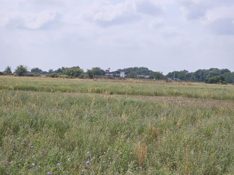 Оферта за недвижим имот с номер 21148: земеделска земя в Пловдив област - с.Калековец в категория продава - 7133 м2 на цена 21399 EUR - снимка номер 5 Снимка 5 на земеделска земя в Пловдив област - с.Калековец в категория недвижими имоти продава - 7133 м2 на цена 21399 EUR