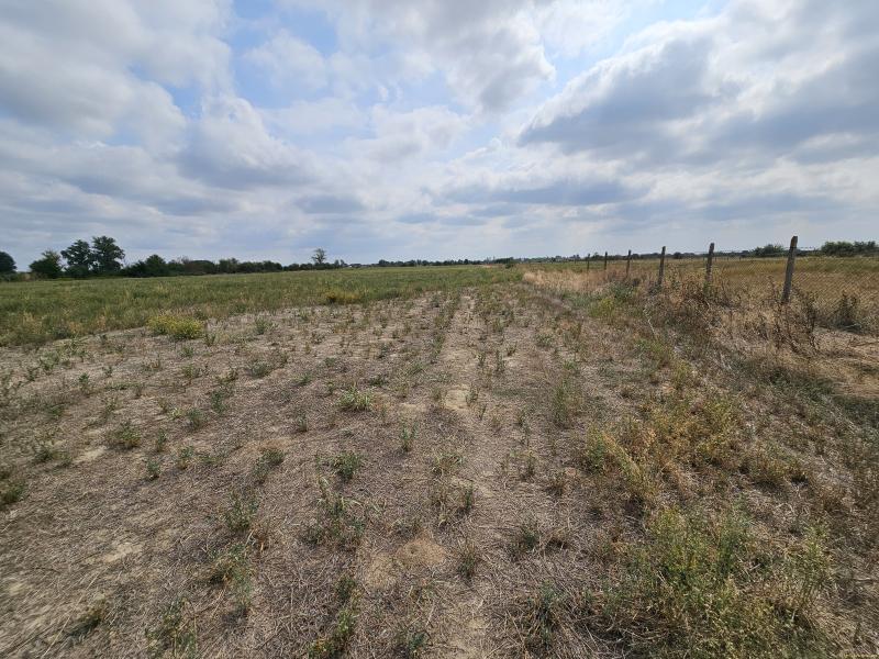 Оферта за недвижим имот с номер 21148: земеделска земя в Пловдив област - с.Калековец в категория продава - 7133 м2 на цена 21399 EUR - снимка номер 7 Снимка 7 на земеделска земя в Пловдив област - с.Калековец в категория недвижими имоти продава - 7133 м2 на цена 21399 EUR