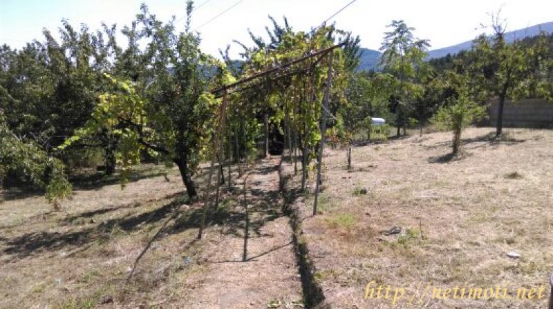 Оферта за недвижим имот с номер 18373: парцел в Пловдив област - с.Куклен в категория продава - 501 м2 на цена 20452 EUR - снимка номер 3 Снимка 3 на парцел в Пловдив област - с.Куклен в категория недвижими имоти продава - 501 м2 на цена 20452 EUR