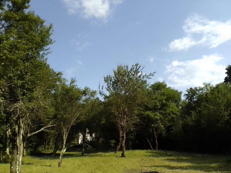 Снимка 2 на парцел в София област - с.Равнище в категория недвижими имоти продава - 1000 м2 на цена  7669 EUR 