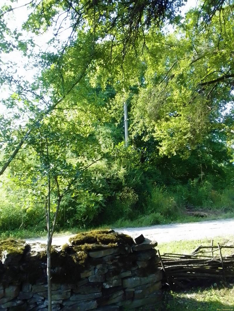 Снимка 3 на парцел в София област - с.Равнище в категория недвижими имоти продава - 1000 м2 на цена  7669 EUR 