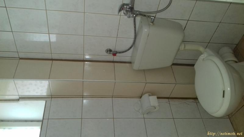 Снимка 3 на студио в Варна - Център в категория недвижими имоти дава под наем - 20 м2 на цена  128 EUR 