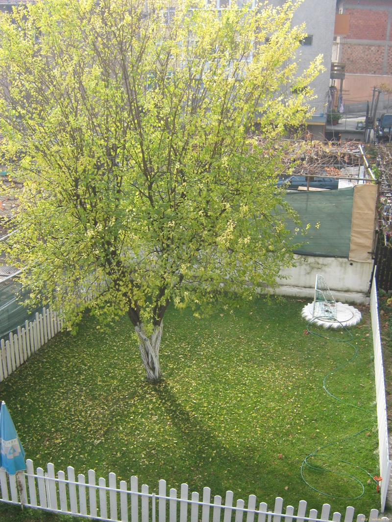 Снимка 8 на двустаен апартамент в Благоевград - Център в категория недвижими имоти дава под наем - 48 м2 на цена  153 EUR 