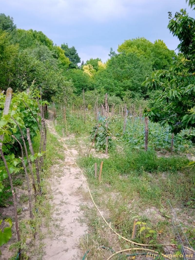 Снимка 6 на къща в Варна област - гр. Бяла в категория недвижими имоти продава - 1348 м2 на цена  120000 EUR 