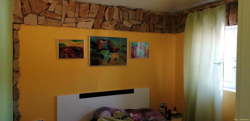 Снимка 7 на къща в Варна област - с.Осеново в категория недвижими имоти продава - 356 м2 на цена  155000 EUR 