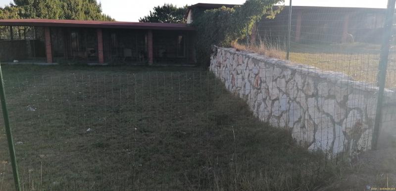 Снимка 5 на парцел в Варна област - с.Осеново в категория недвижими имоти продава - 1804 м2 на цена  60000 EUR 