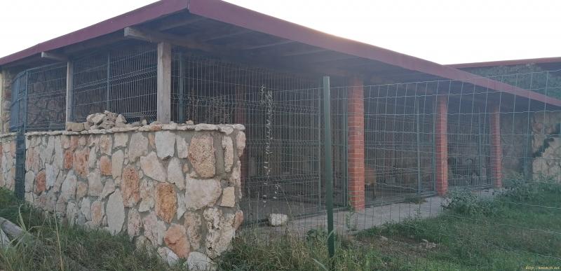 Снимка 6 на парцел в Варна област - с.Осеново в категория недвижими имоти продава - 1804 м2 на цена  60000 EUR 