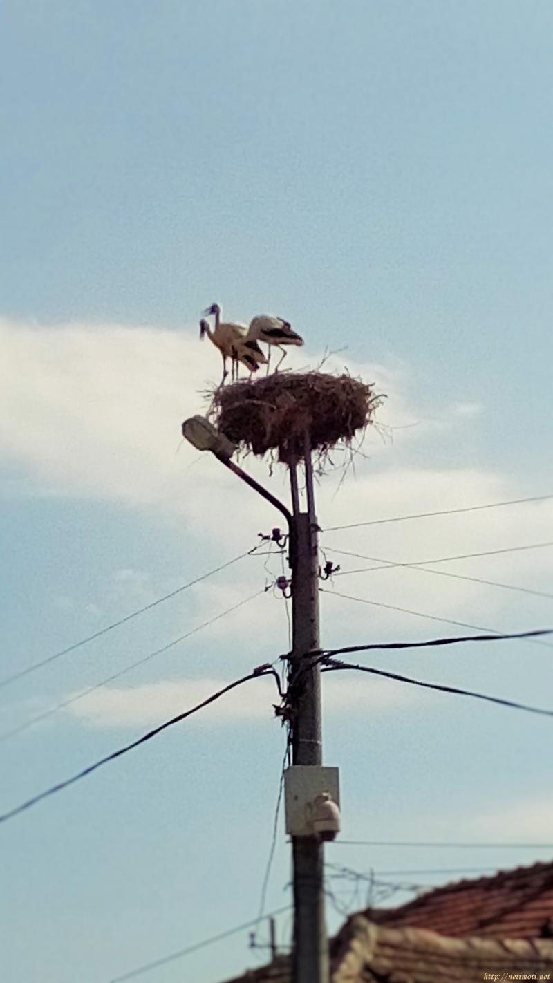 Снимка 5 на къща в Бургас област - гр.Несебър в категория недвижими имоти продава - 100 м2 на цена  29990 EUR 