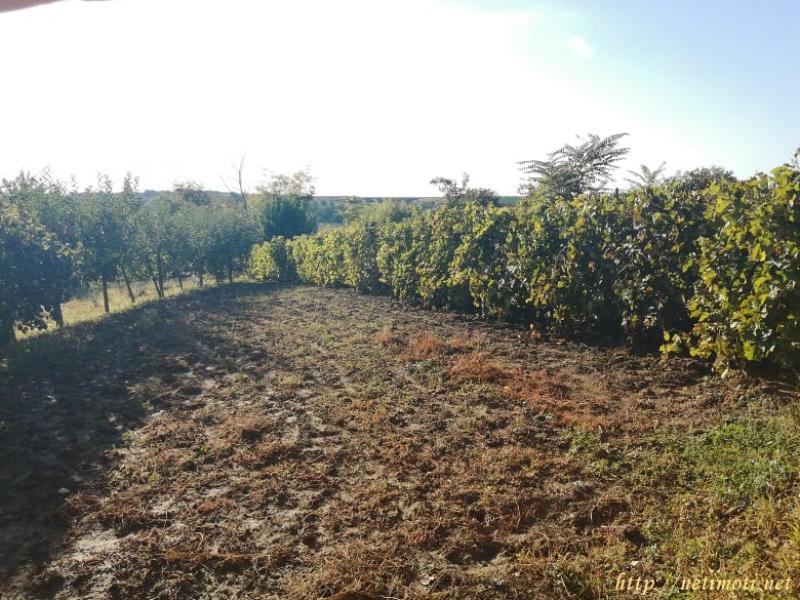 Снимка 6 на къща в Силистра област - гр.Алфатар в категория недвижими имоти продава - 130 м2 на цена  30678 EUR 