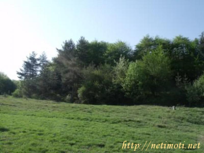 Снимка 1 на земеделска земя в София област - с.Радуил в категория недвижими имоти продава - 1854 м2 на цена  10 EUR 