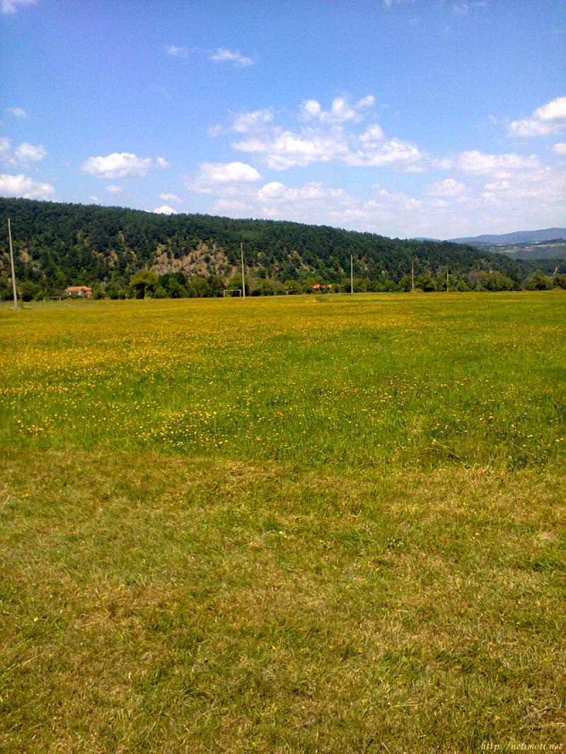 Оферта за недвижим имот с номер 19889: земеделска земя в София област - с.Радуил в категория продава - 3400 м2 на цена 10 EUR - снимка номер 0 Снимка 0 на земеделска земя в София област - с.Радуил в категория недвижими имоти продава - 3400 м2 на цена 10 EUR