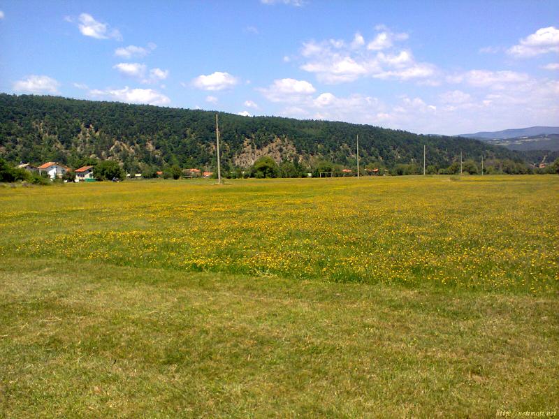 Оферта за недвижим имот с номер 19889: земеделска земя в София област - с.Радуил в категория продава - 3400 м2 на цена 10 EUR - снимка номер 1 Снимка 1 на земеделска земя в София област - с.Радуил в категория недвижими имоти продава - 3400 м2 на цена 10 EUR