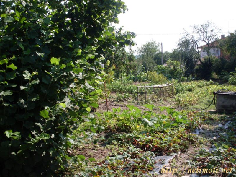 Снимка 2 на къща в Кюстендил област - с.Четирци в категория недвижими имоти продава - 72 м2 на цена  22000 EUR 