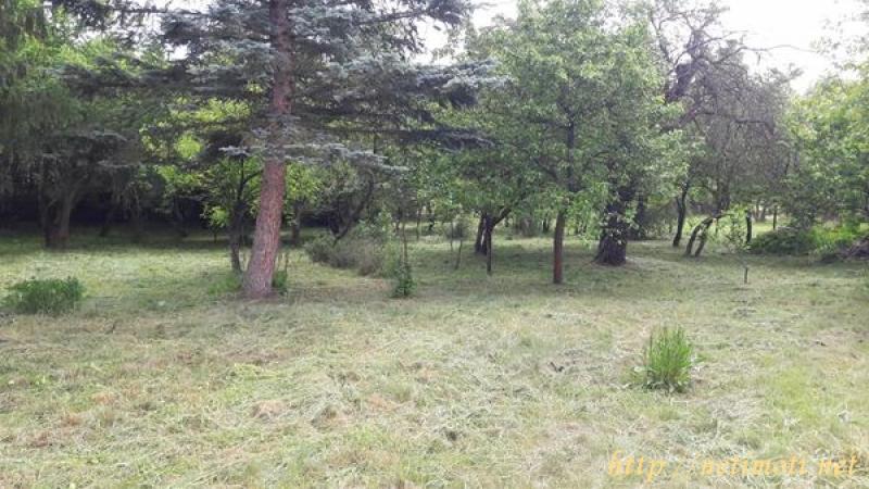 Оферта за недвижим имот с номер 20067: парцел в Перник област - с.Гигинци в категория продава - 876 м2 на цена 11197 EUR - снимка номер 0 Снимка 0 на парцел в Перник област - с.Гигинци в категория недвижими имоти продава - 876 м2 на цена 11197 EUR