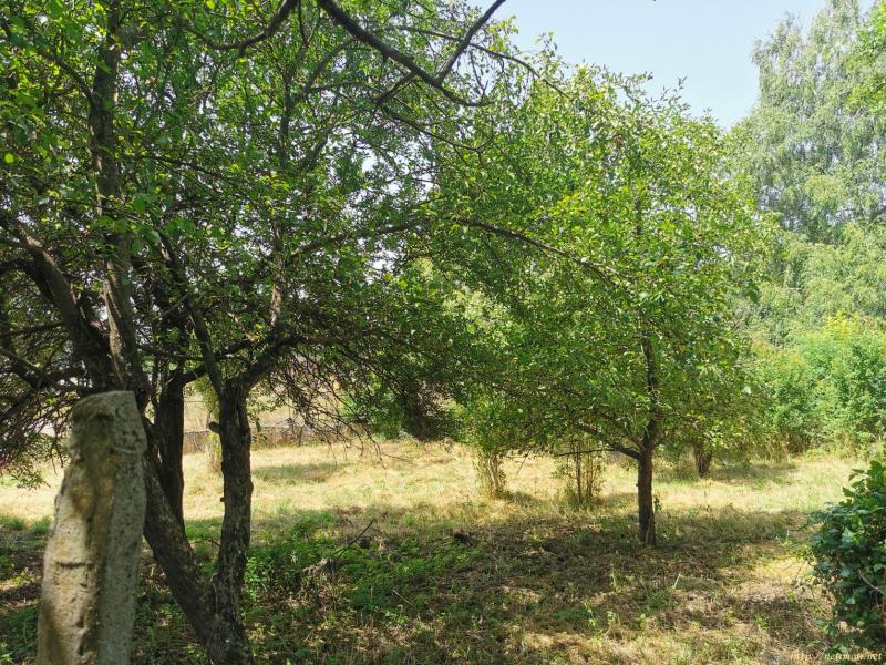 Оферта за недвижим имот с номер 20302: парцел в Перник област - с.Туроковци в категория продава - 1150 м2 на цена 17895 EUR - снимка номер 0 Снимка 0 на парцел в Перник област - с.Туроковци в категория недвижими имоти продава - 1150 м2 на цена 17895 EUR