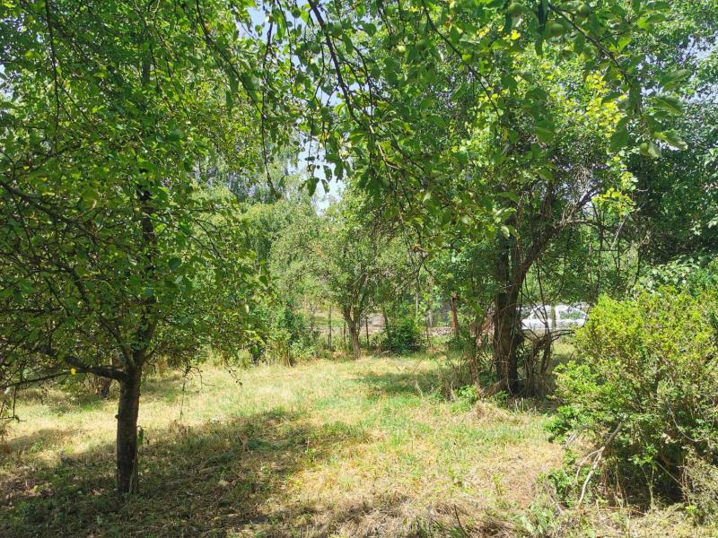 снимка на други в Перник област с.Туроковци