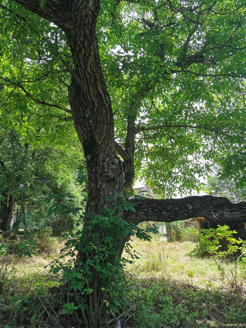Снимка 2 на други в Перник област - с.Туроковци в категория недвижими имоти продава - 1150 м2 на цена  9970 EUR 