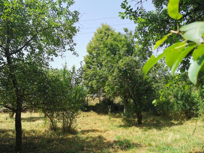 Оферта за недвижим имот с номер 20609: парцел в Перник област - с.Туроковци в категория продава - 1150 м2 на цена 9970 EUR - снимка номер 4 Снимка 4 на парцел в Перник област - с.Туроковци в категория недвижими имоти продава - 1150 м2 на цена 9970 EUR