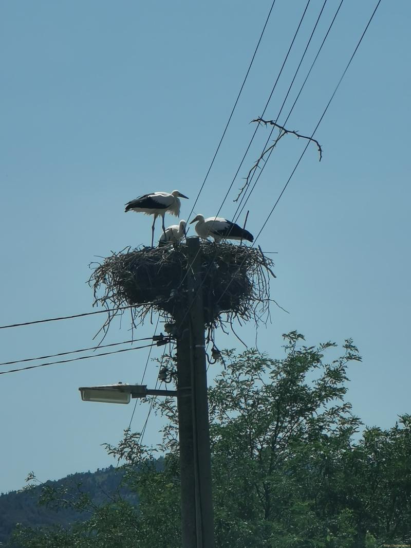 Снимка 1 на парцел в Перник област - с.Туроковци в категория недвижими имоти продава - 1150 м2 на цена  9970 EUR 