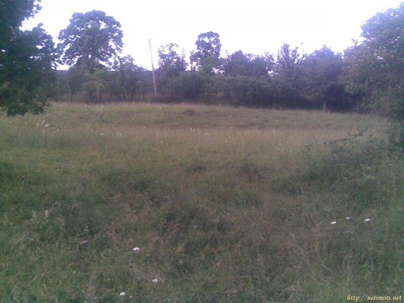 Оферта за недвижим имот с номер 20209: парцел в Габрово област - с.Думници в категория продава - 1640 м2 на цена 14500 EUR - снимка номер 4 Снимка 4 на парцел в Габрово област - с.Думници в категория недвижими имоти продава - 1640 м2 на цена 14500 EUR