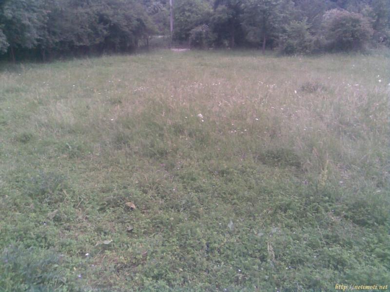 Оферта за недвижим имот с номер 20209: парцел в Габрово област - с.Думници в категория продава - 1640 м2 на цена 14500 EUR - снимка номер 8 Снимка 8 на парцел в Габрово област - с.Думници в категория недвижими имоти продава - 1640 м2 на цена 14500 EUR