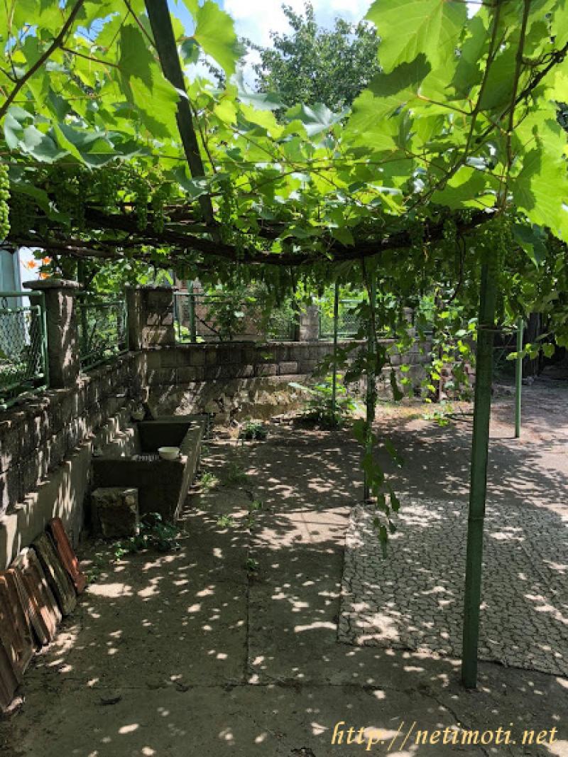 Снимка 1 на къща в Силистра област - гр.Алфатар в категория недвижими имоти продава - 170 м2 на цена  14000 EUR 