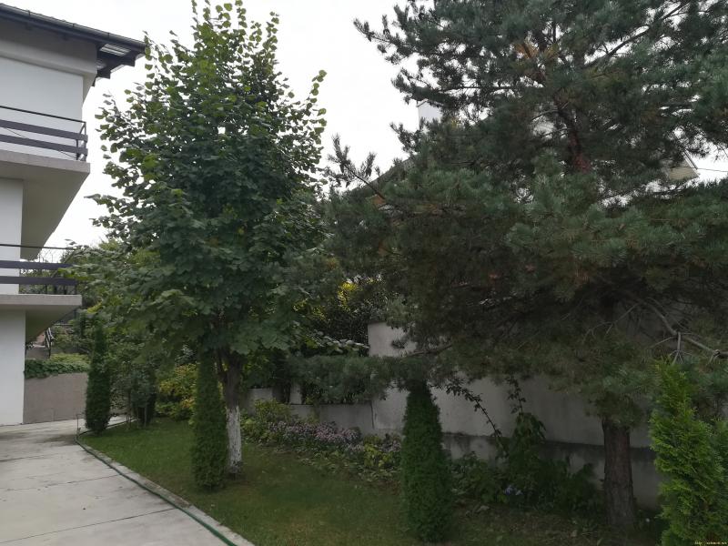 Оферта за недвижим имот с номер 20242: къща в София област - в категория продава - 380 м2 на цена 0 EUR - снимка номер 3 Снимка 3 на къща в София област - в категория недвижими имоти продава - 380 м2 на цена 0 EUR