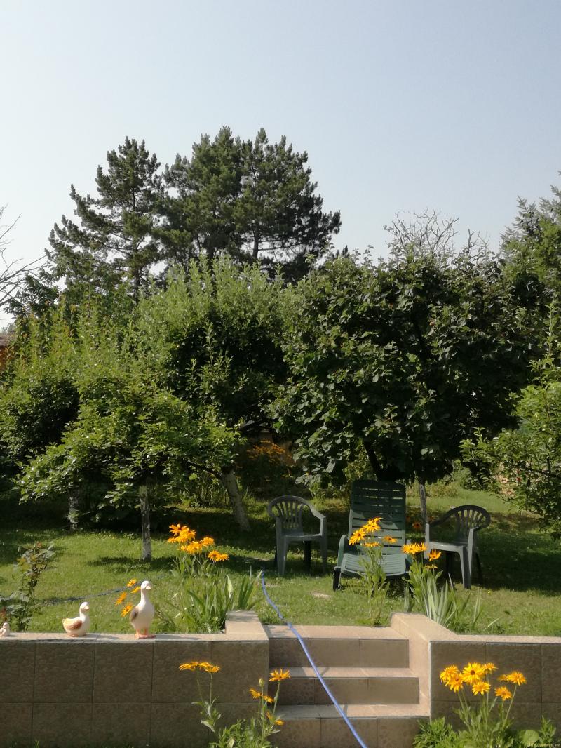 Оферта за недвижим имот с номер 20242: къща в София област - в категория продава - 380 м2 на цена 0 EUR - снимка номер 6 Снимка 6 на къща в София област - в категория недвижими имоти продава - 380 м2 на цена 0 EUR