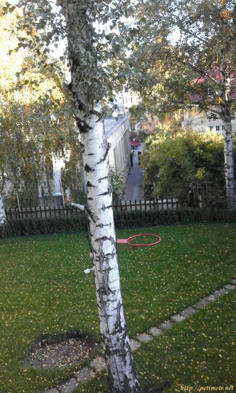 Снимка 6 на тристаен апартамент в София - Лозенец в категория недвижими имоти дава под наем - 86 м2 на цена  383 EUR 