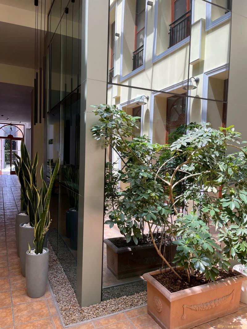 Снимка 5 на едностаен апартамент в София - Център в категория недвижими имоти дава под наем - 16 м2 на цена  665 EUR 