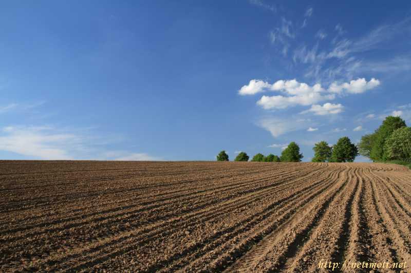 Оферта за недвижим имот с номер 20477: земеделска земя в София област - гр.Ботевград в категория купува - 1 м2 на цена 0 EUR - снимка номер 0 Снимка 0 на земеделска земя в София област - гр.Ботевград в категория недвижими имоти купува - 1 м2 на цена 0 EUR