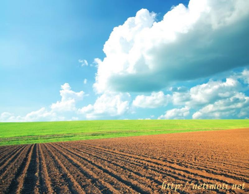 Оферта за недвижим имот с номер 20494: гора в София област - гр.Костинброд в категория купува - 1 м2 на цена 0 EUR - снимка номер 0 Снимка 0 на гора в София област - гр.Костинброд в категория недвижими имоти купува - 1 м2 на цена 0 EUR