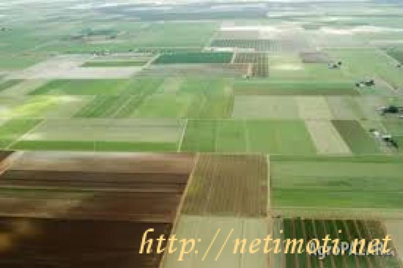 снимка на земеделска земя в София област гр.Самоков