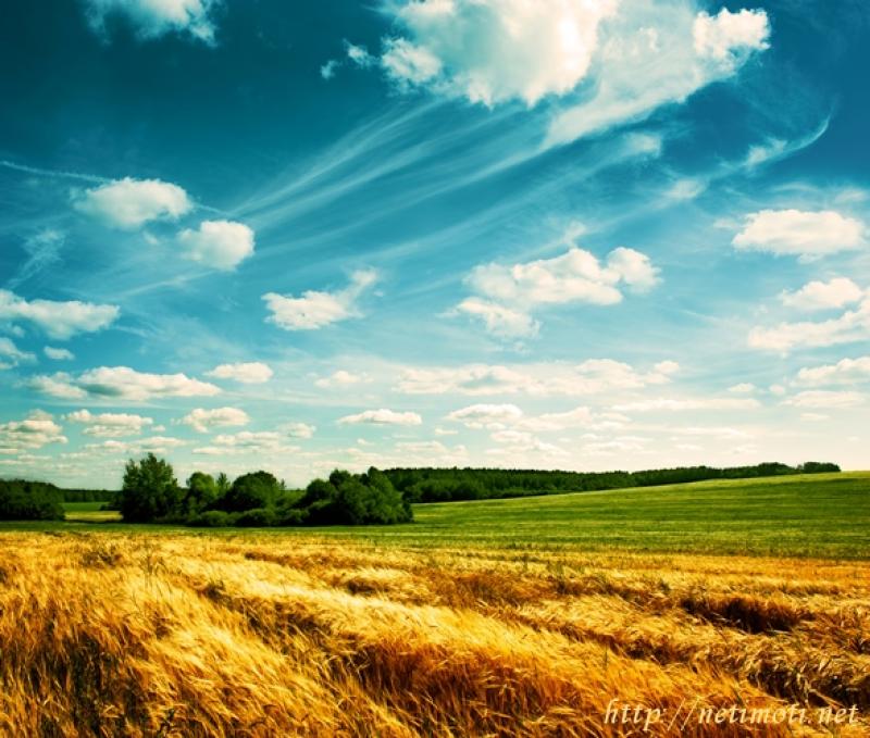снимка на земеделска земя в София област с.Чавдар