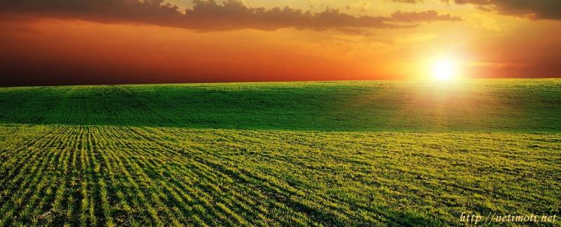 Оферта за недвижим имот с номер 20520: земеделска земя в Пазарджик - Център в категория купува - 1 м2 на цена 0 EUR - снимка номер 0 Снимка 0 на земеделска земя в Пазарджик - Център в категория недвижими имоти купува - 1 м2 на цена 0 EUR