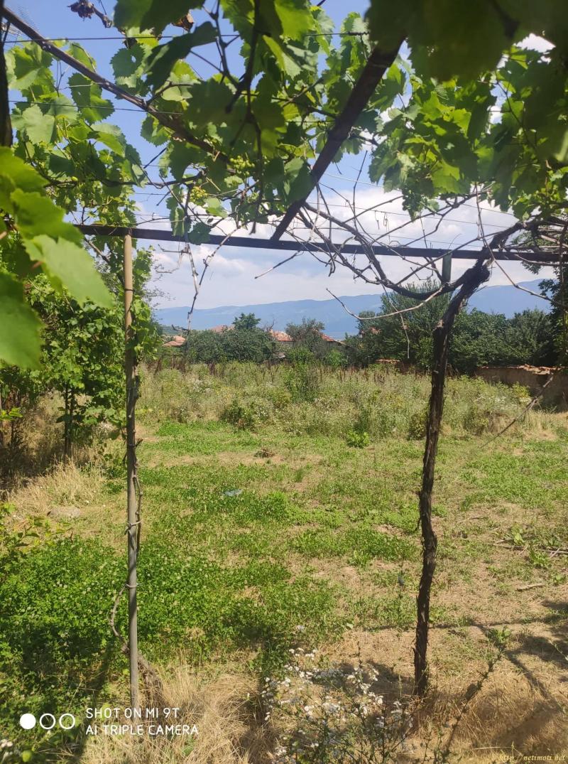 Снимка 1 на парцел в Пловдив област - с.Климент в категория недвижими имоти продава - 1400 м2 на цена  10226 EUR 