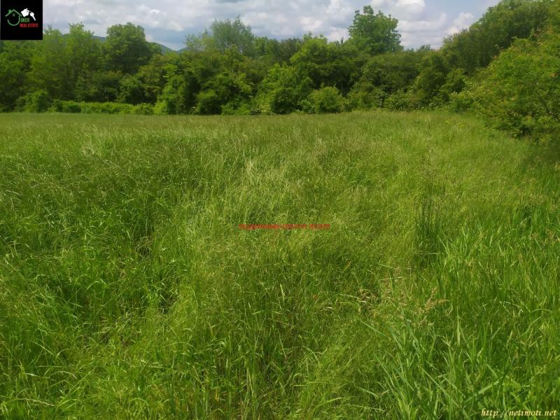 Снимка 1 на земеделска земя в Велико Търново област - с.Леденик в категория недвижими имоти продава - 5499 м2 на цена  24500 EUR 