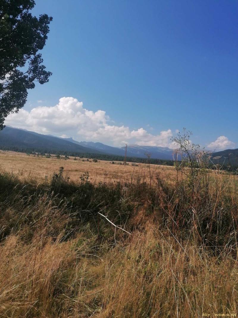 Оферта за недвижим имот с номер 20642: парцел в София област - с.Говедарци в категория продава - 2176 м2 на цена 217600 EUR - снимка номер 2 Снимка 2 на парцел в София област - с.Говедарци в категория недвижими имоти продава - 2176 м2 на цена 217600 EUR